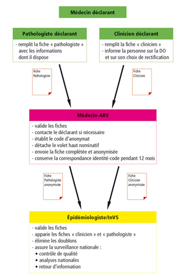 Schéma notification do mesotheliome